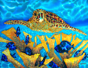 Painting - Hawksbill Turtle & Blue Tangs - 30" x 40"