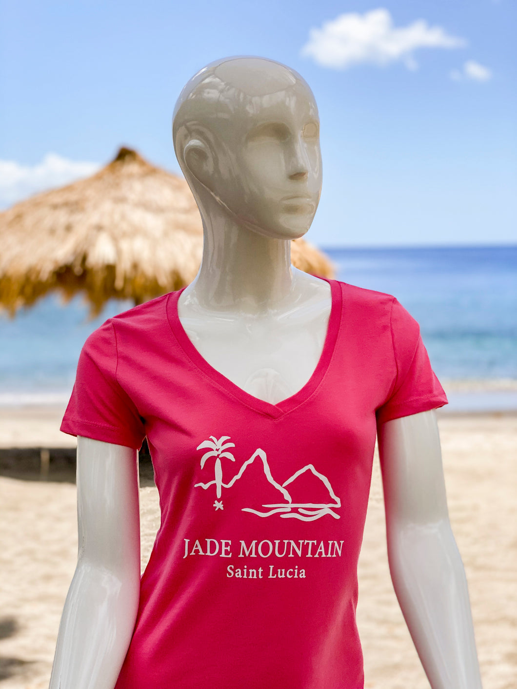 Jade Mountain Women's V Neck T-Shirts